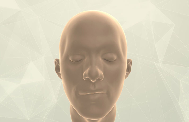 the-brain-animation.jpg